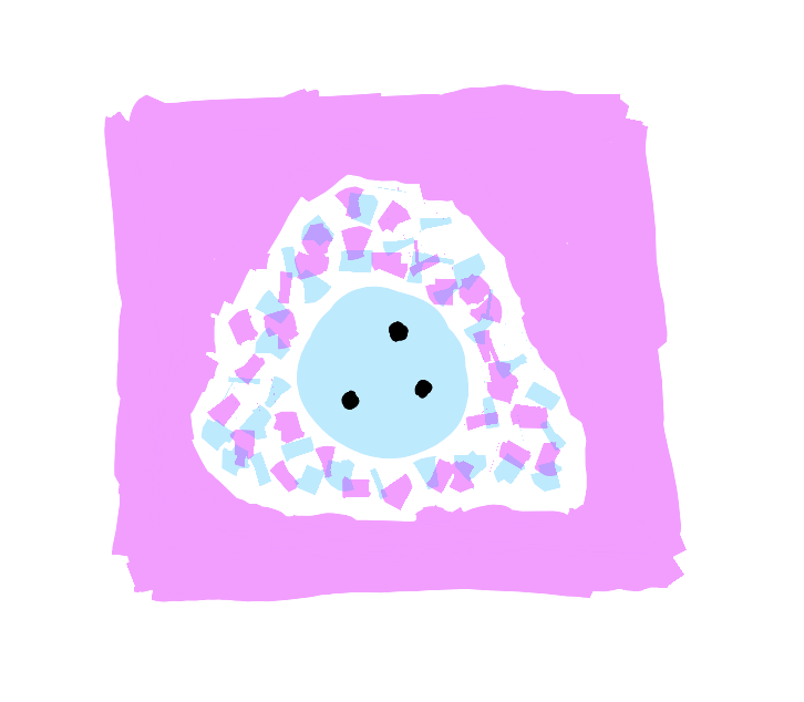 Single square-ish panel showing balanced pattern integration. Three dots in triangle formation within circular Known, but with subtle suggestion of rotation/motion (perhaps through slight position variations or faint movement trails). Even Knowable membrane pulses slightly wider at three points aligned with triangle vertices, suggesting how stable pattern maintains living connection with possibility.