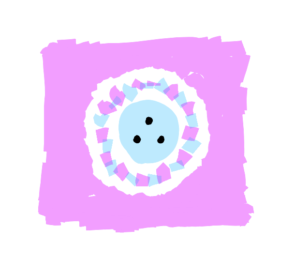 Single cellular diagram showing healthy territory relationship. Circular Known nucleus contains three dots in perfect equilateral triangle formation, surrounded by naturally curved Knowable membrane in even proportion, Pink Unknown beyond. No hard borders.